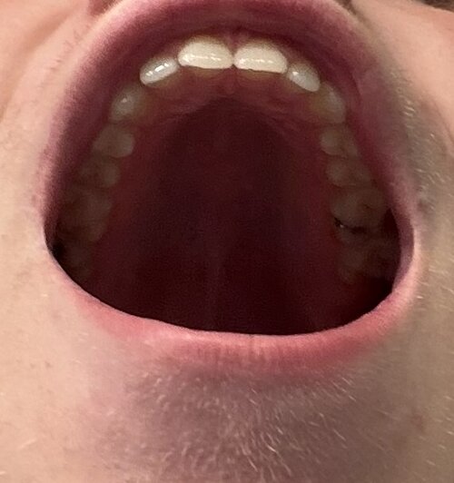 IMG_8401.jpeg