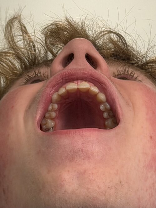 IMG_8397.jpeg