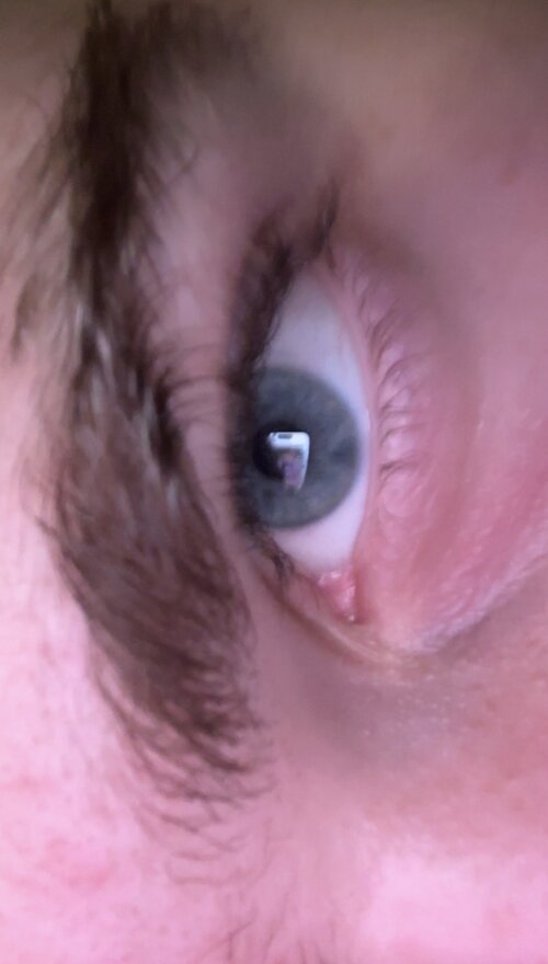 IMG_1308.jpeg