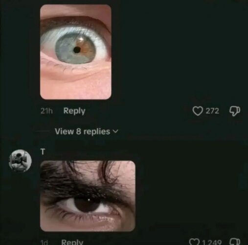 IMG_0101.jpeg