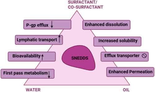 SNEDDSResearch4.jpg