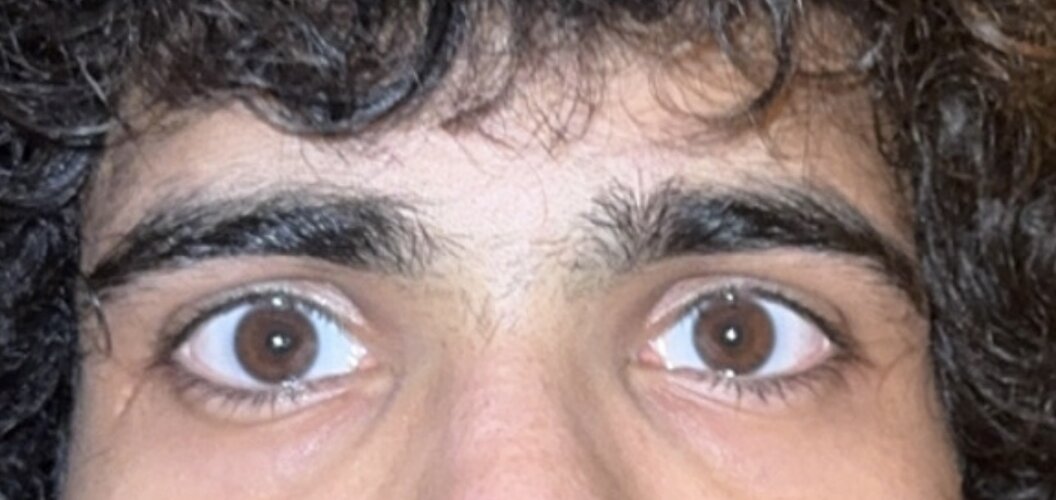 IMG 1214