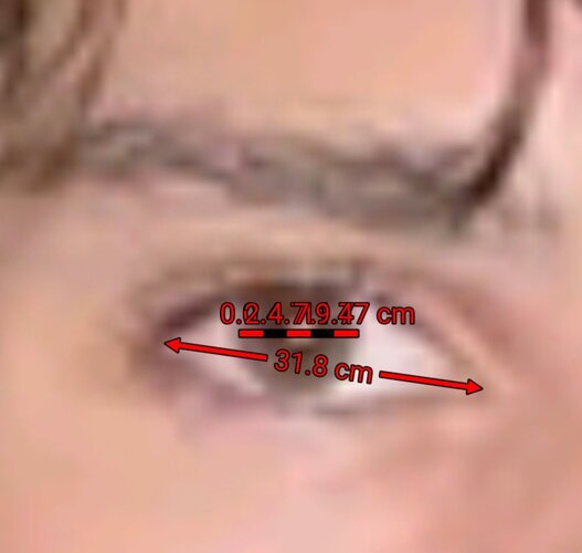 Screenshot_20260531_093315_ImageMeter.jpg