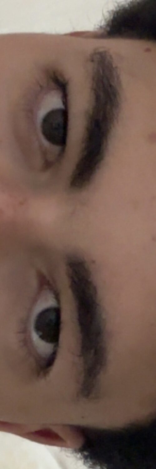 IMG_8273.jpeg