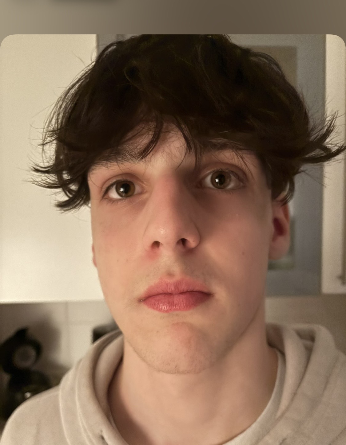IMG 3582