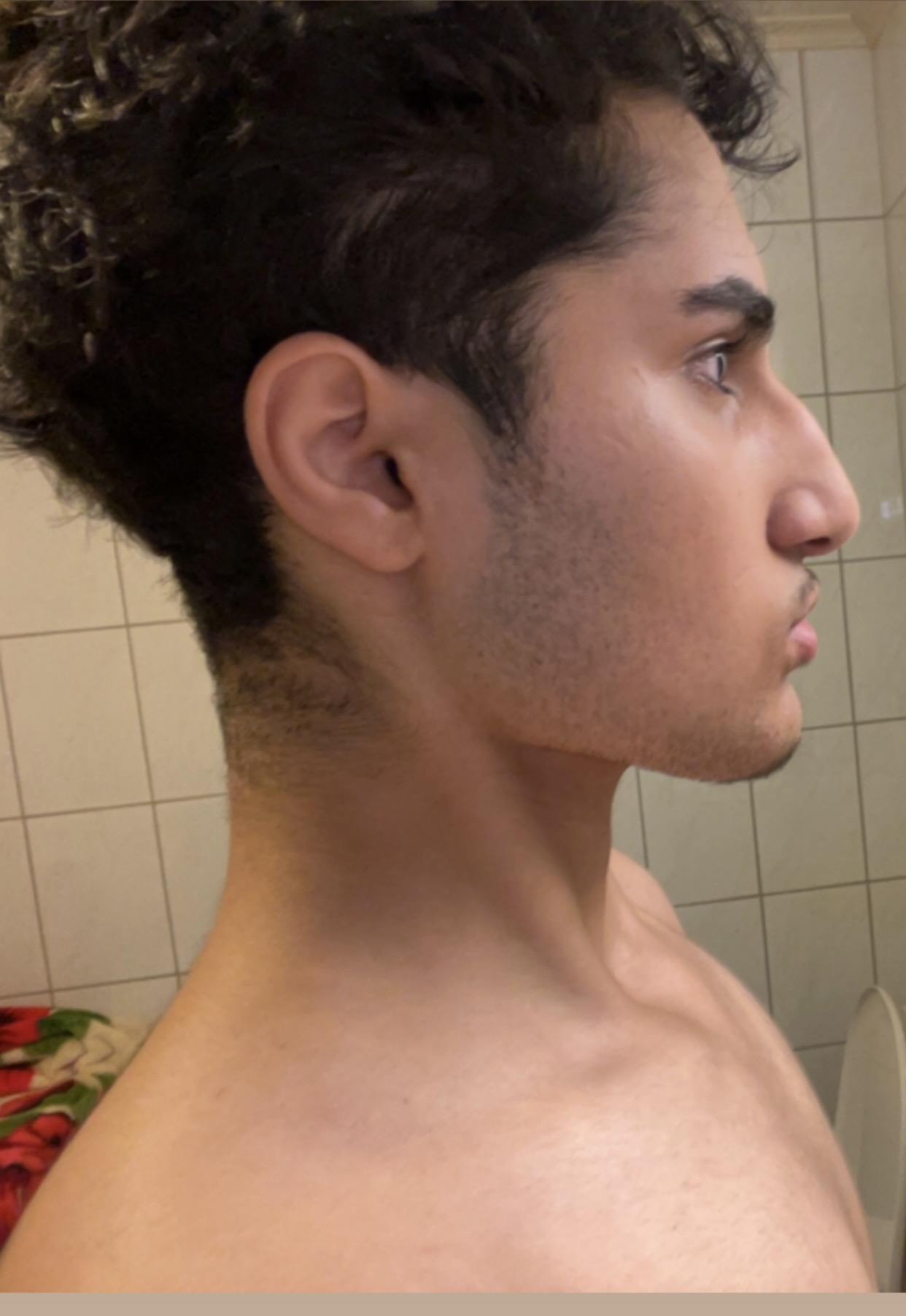 IMG 0681