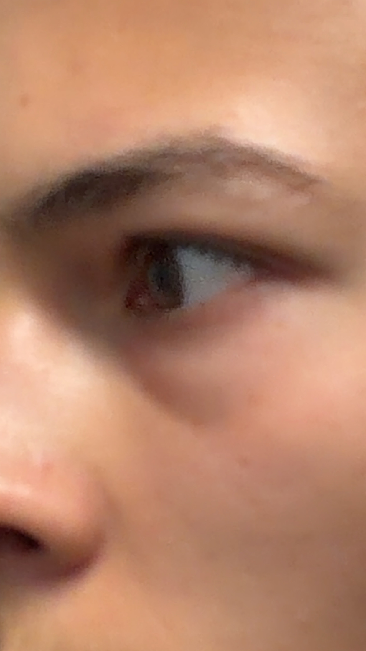 IMG 3318