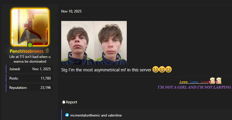 1780348429267