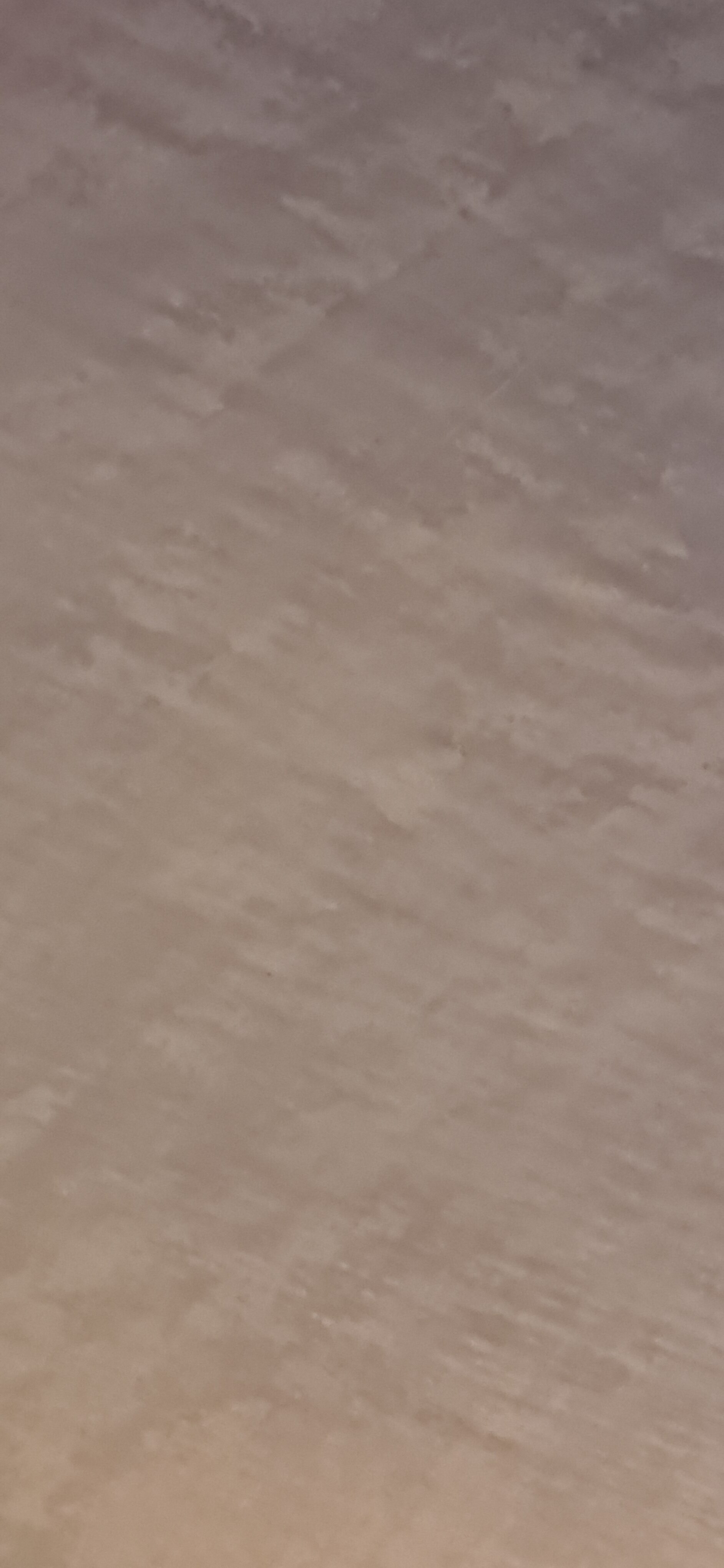 1000008638