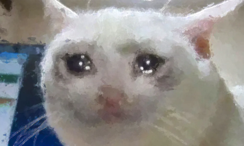 1780358301073