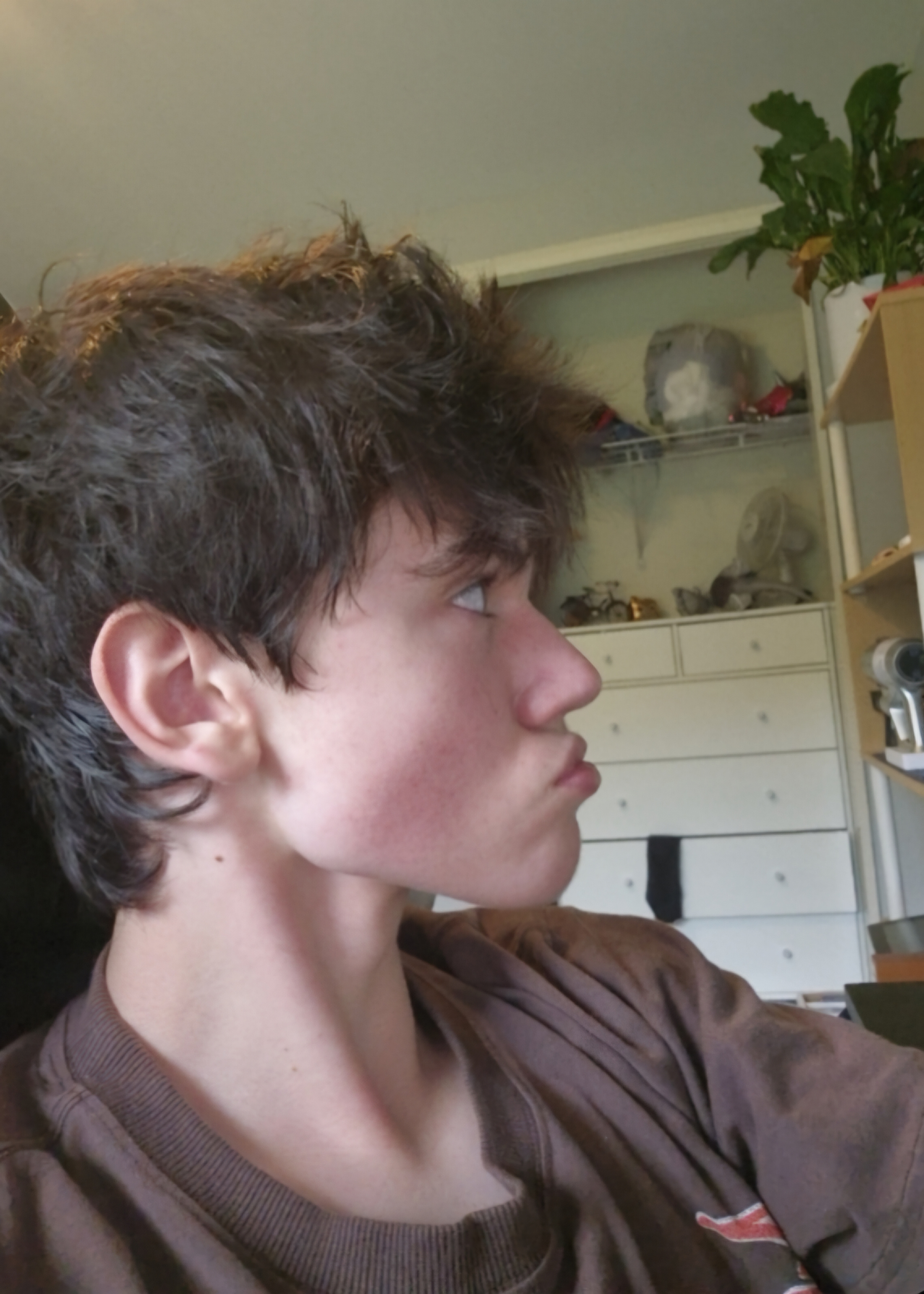 Screenshot 20260602 122329 TikTok