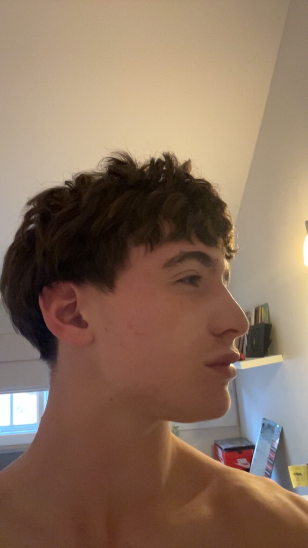 IMG 4706