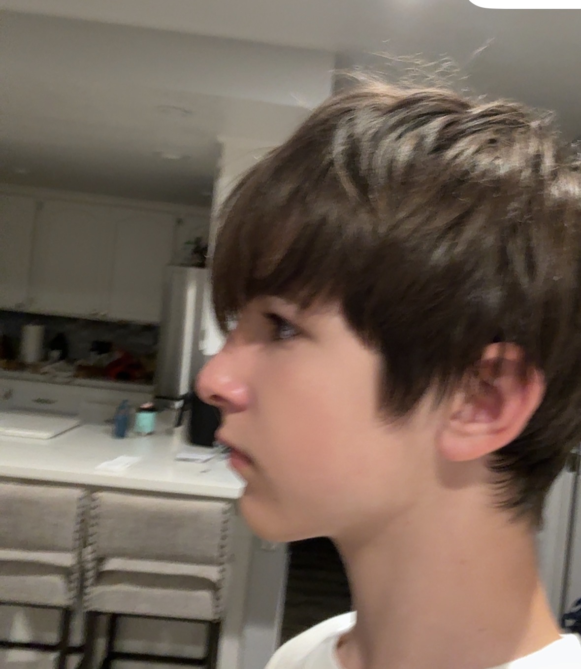 IMG 3469