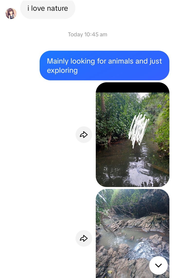 1000001602
