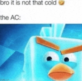 1000009706