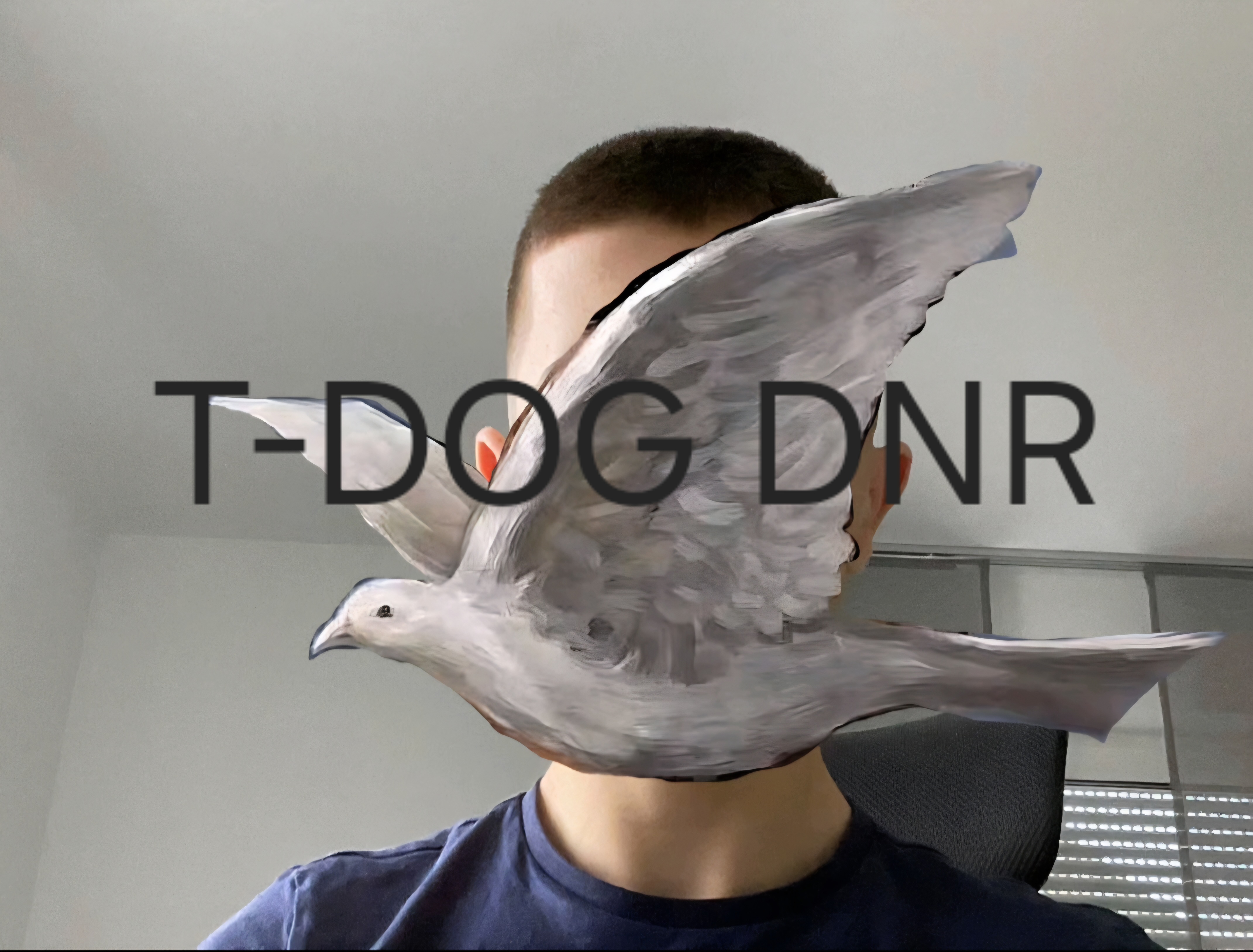 1000005233