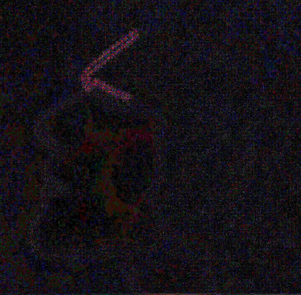 1780420733498