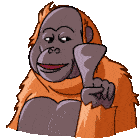 Orangutan telegram orangutan