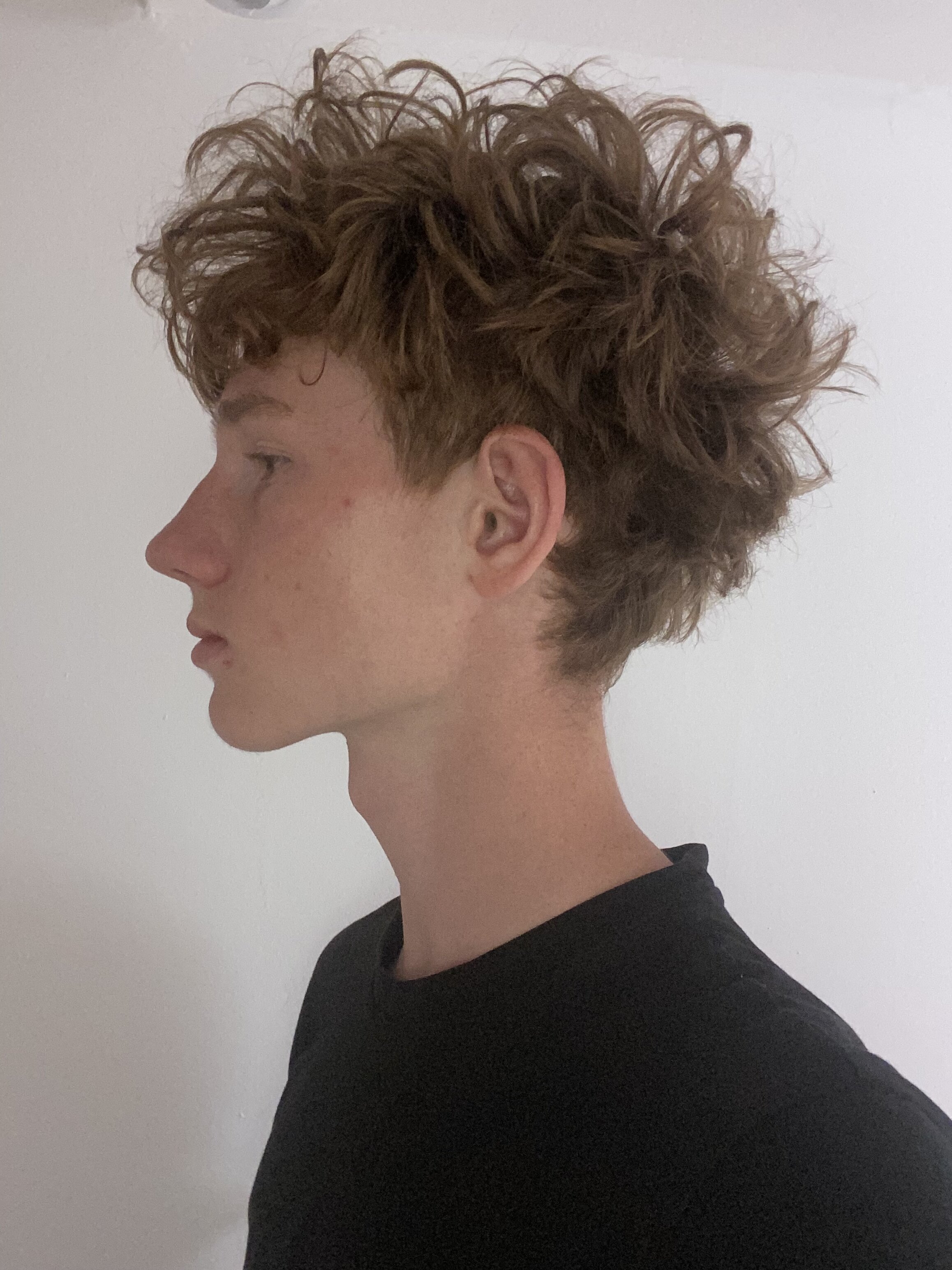 IMG 1545