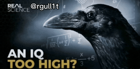 Giphy