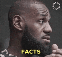 Lebronfactsit