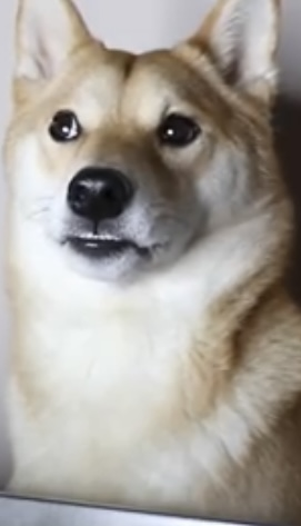 1780504673990