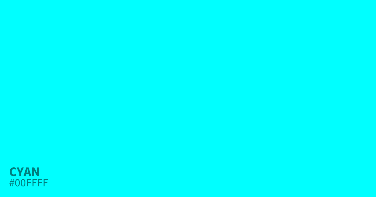 1000007362