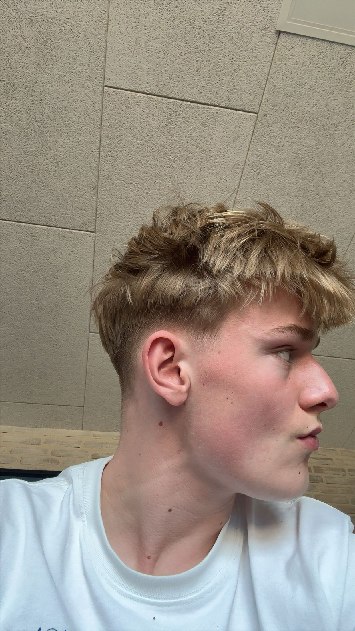 IMG 0219