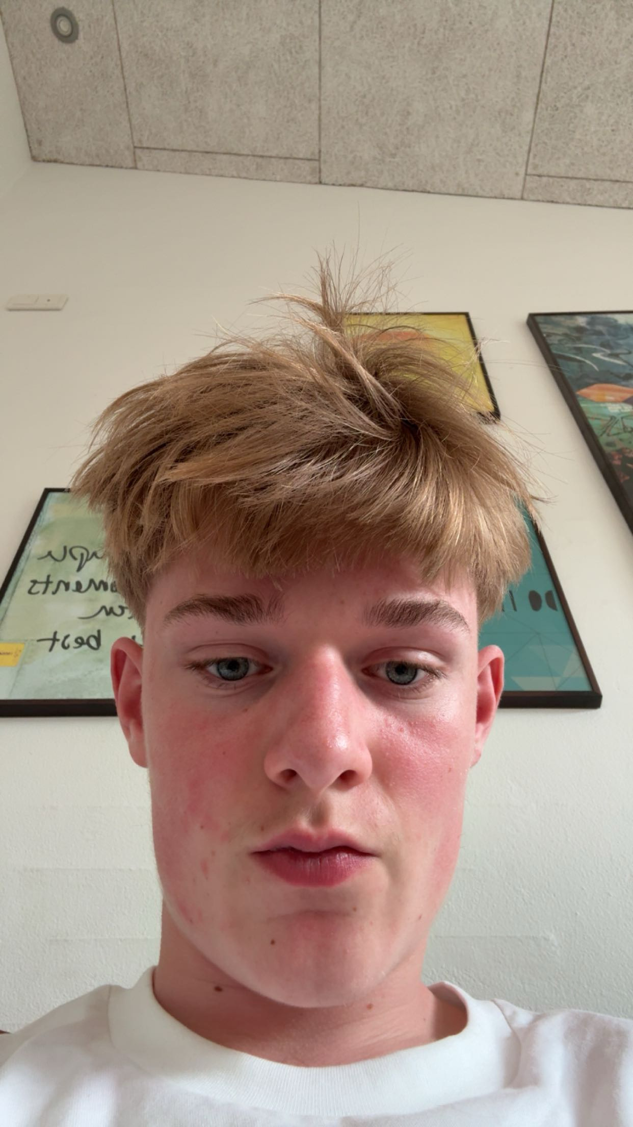 IMG 0217