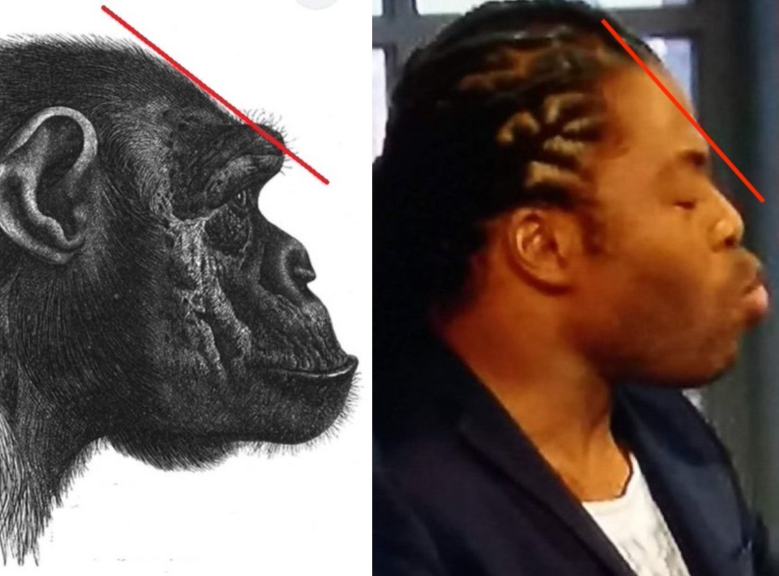 1780523584740
