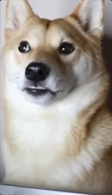 1780525948459