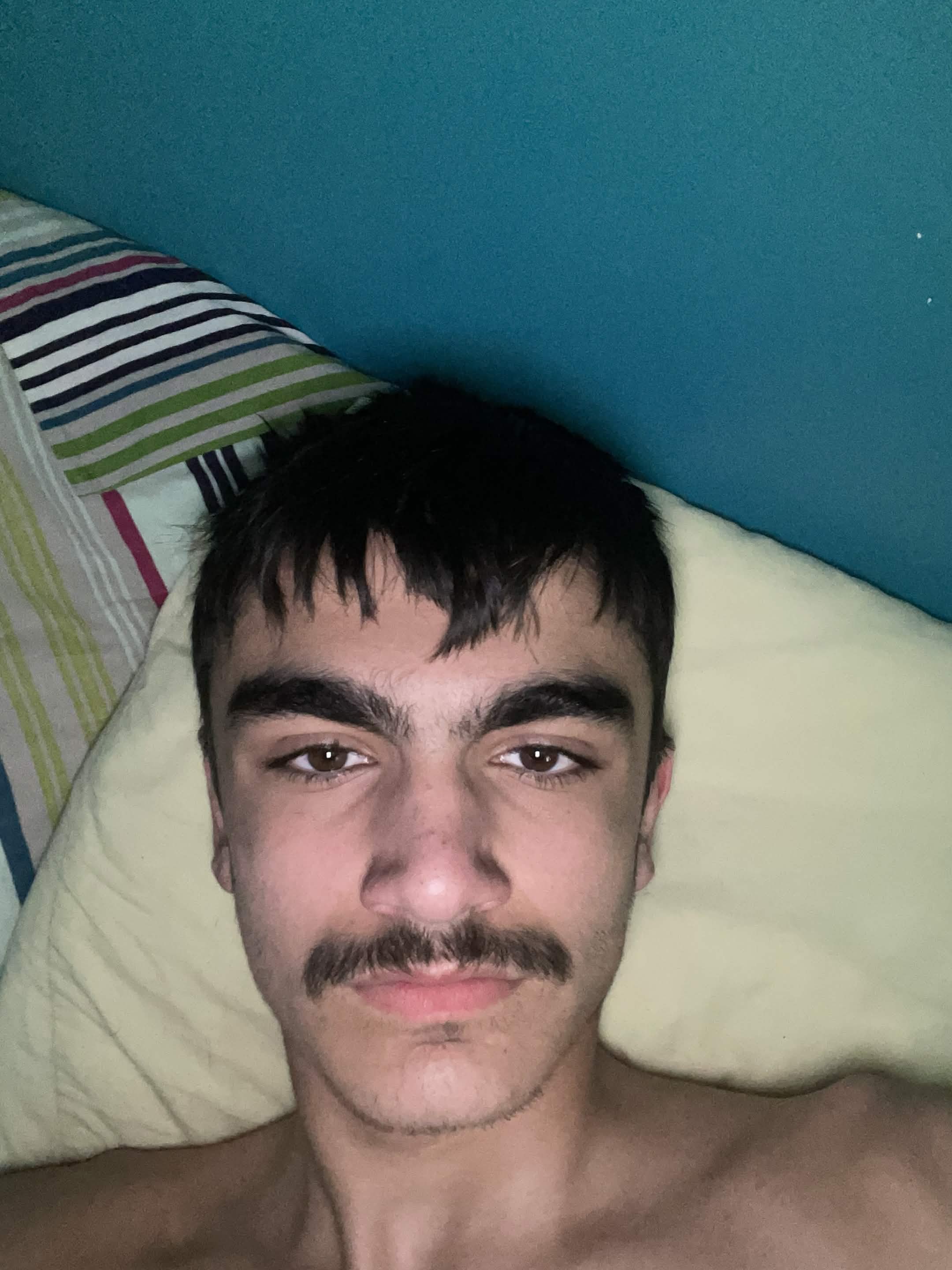 IMG 2391