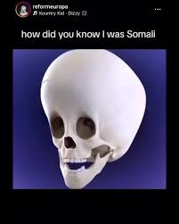 1780550155232