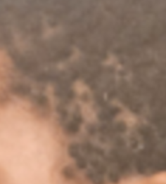 Screenshot 2026 06 03 at 114428PM