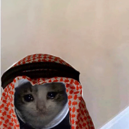 1780559431574