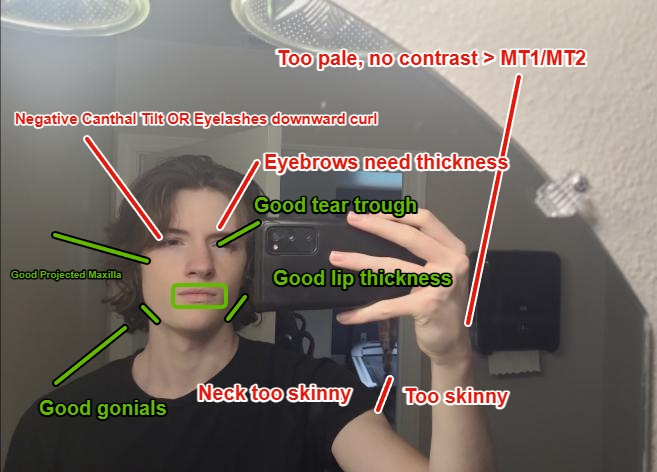1780559689360