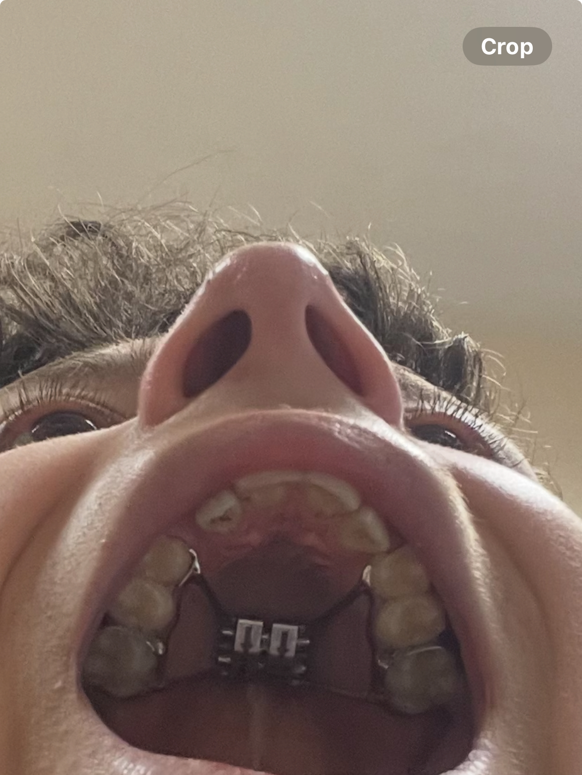 IMG 1811