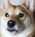1780566617281