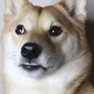30655