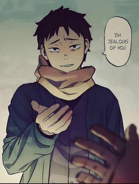 48733