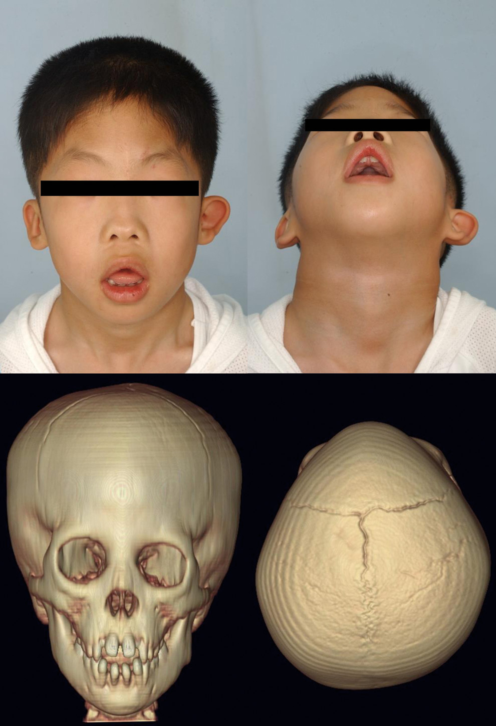 101177 1055665618770195 fig1