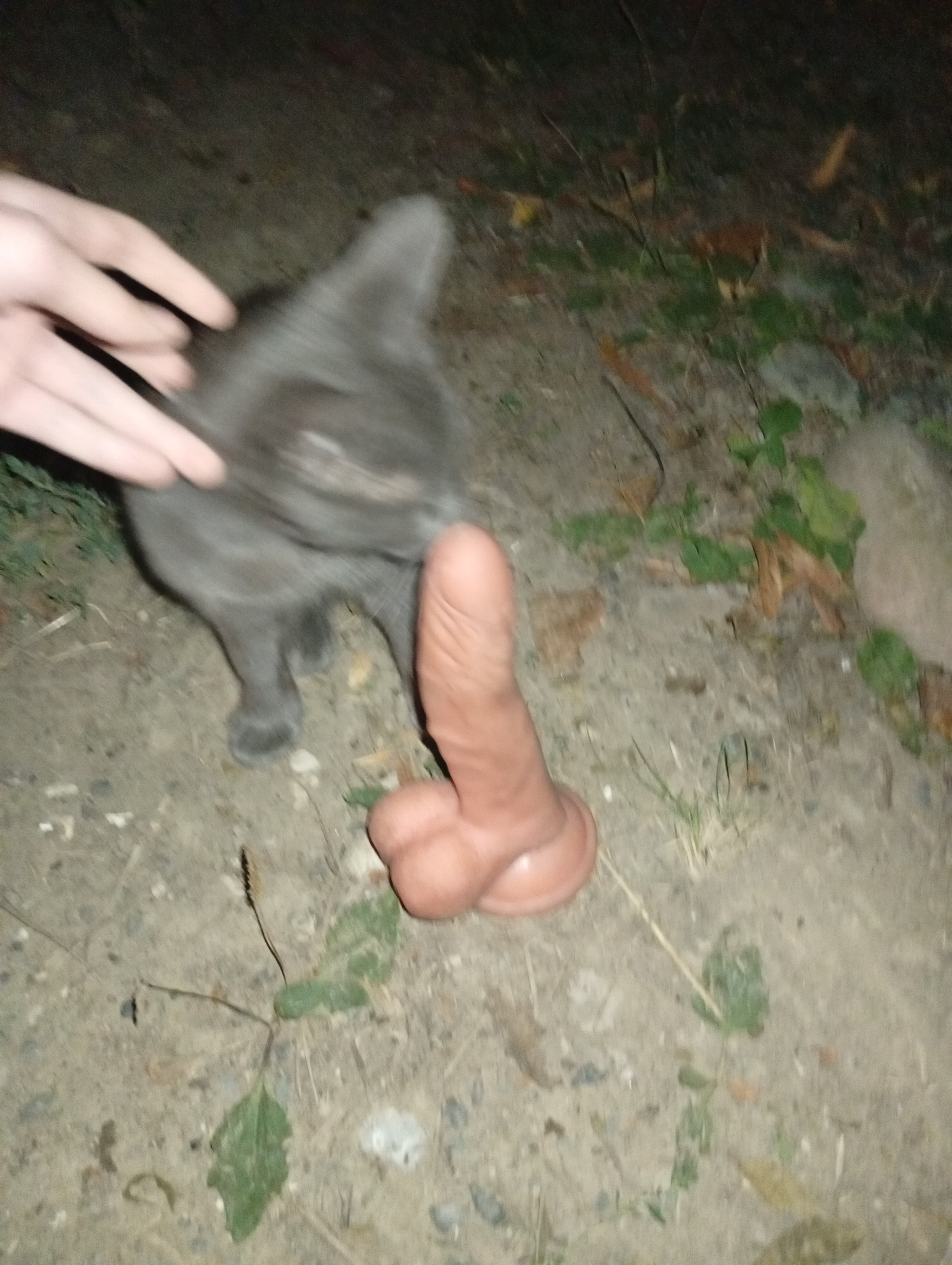 1000057638
