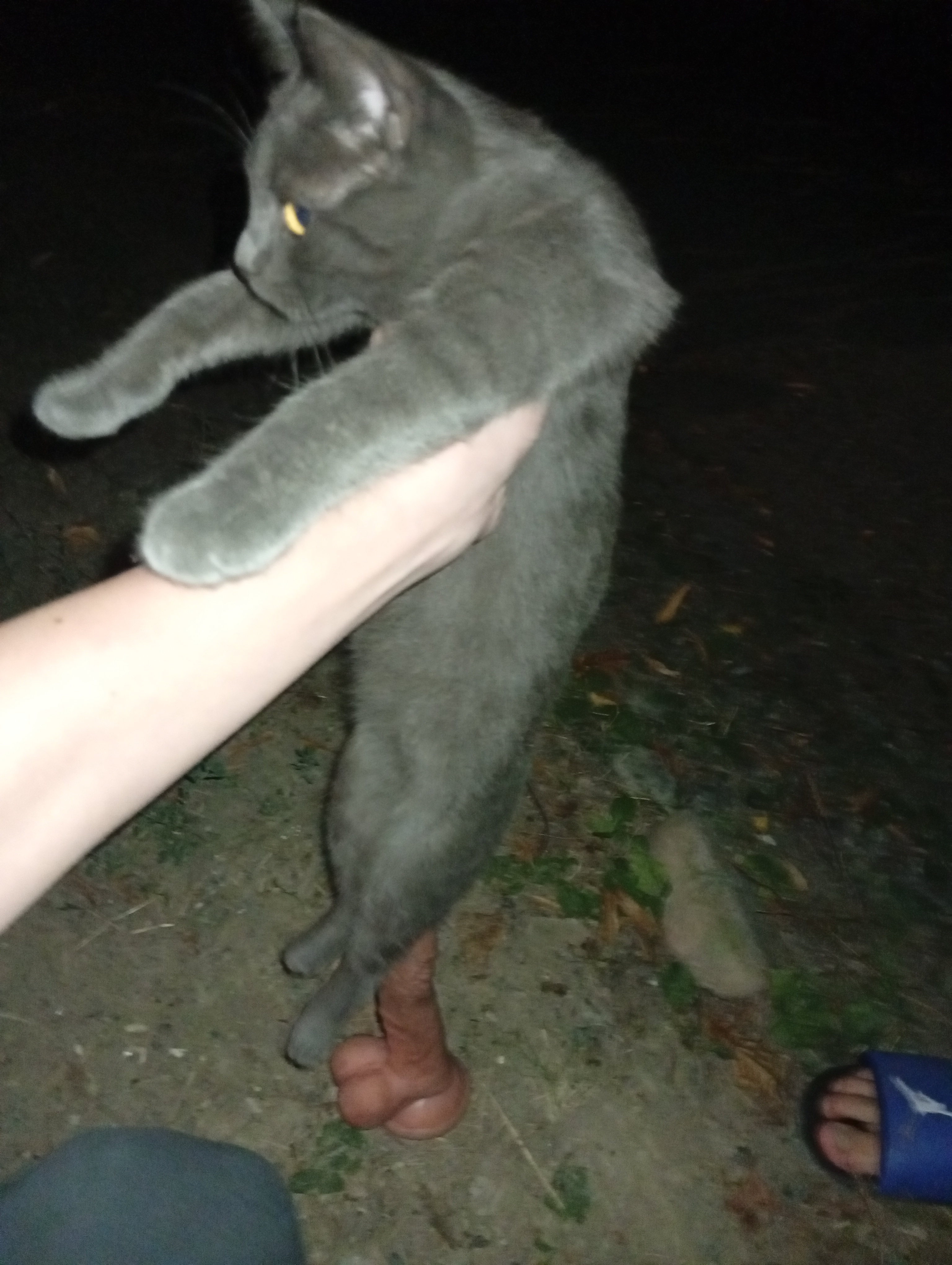 1000057639