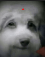 1780605729490