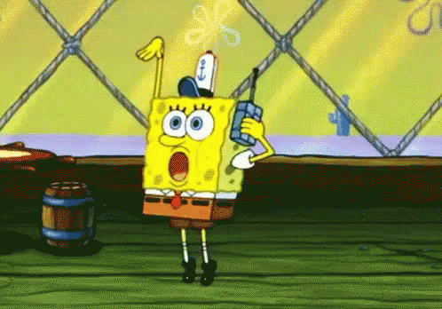 IMG 6222