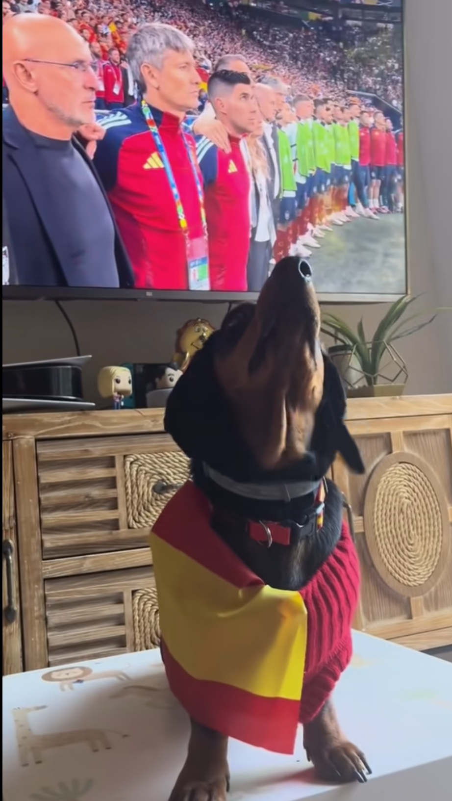 5219