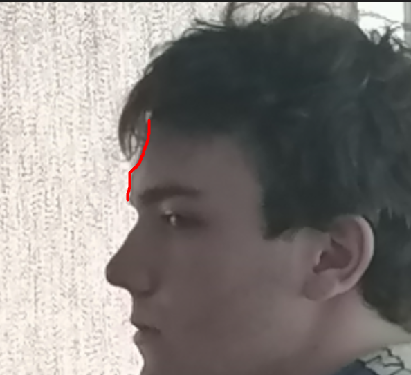 Screenshot 41