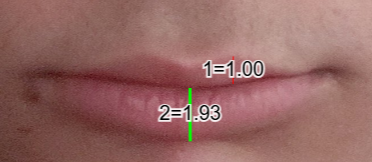 1780687300795
