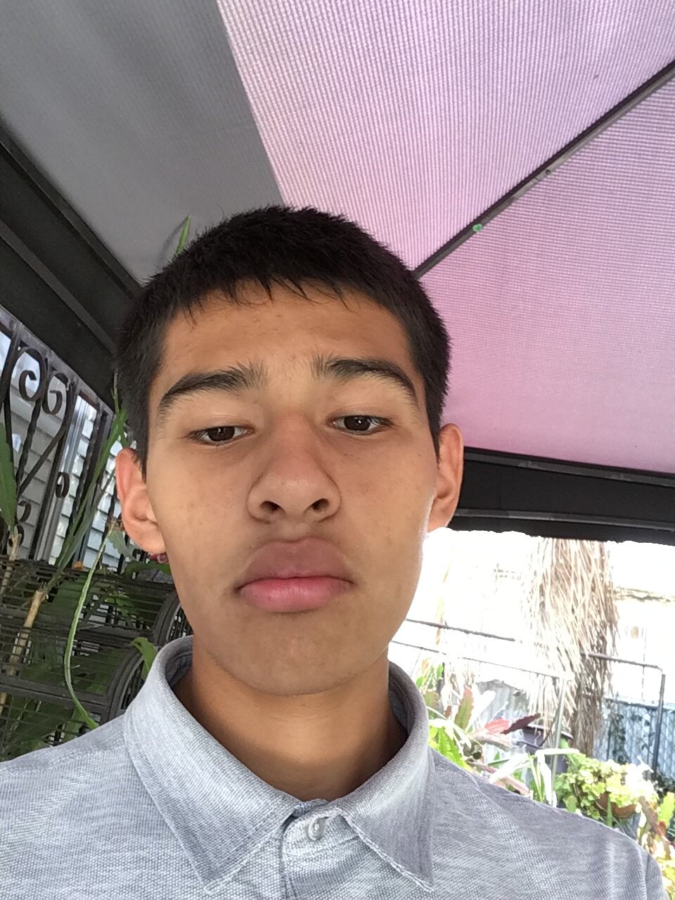 IMG 0606