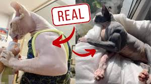 1780691759895